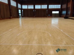 國標(biāo)運動體育木地板廠家報價